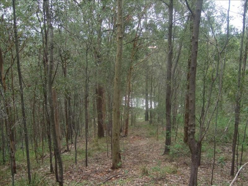 10 Boxer Avenue, Shailer Park QLD 4128