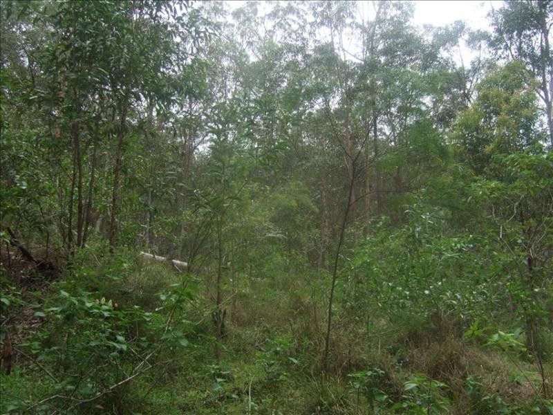 10 Boxer Avenue, Shailer Park QLD 4128