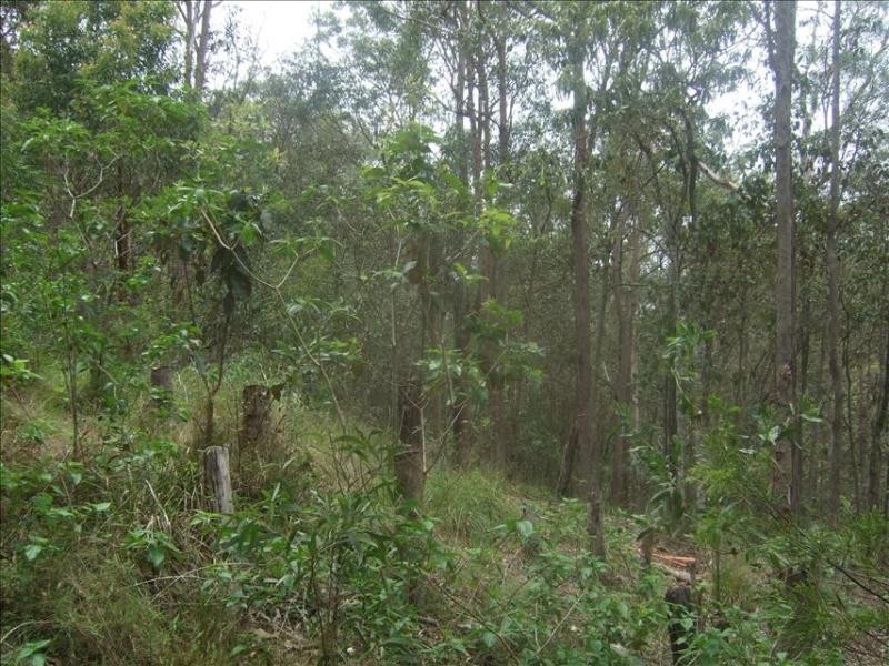 10 Boxer Avenue, Shailer Park QLD 4128