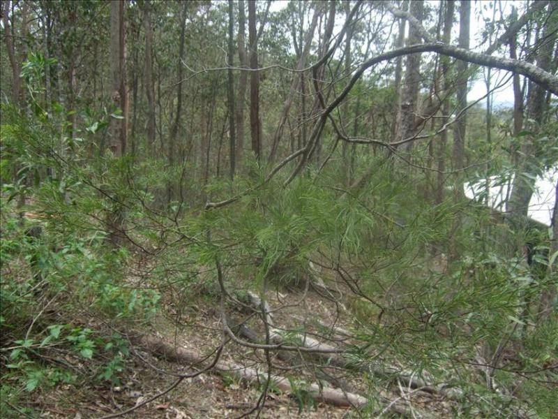 10 Boxer Avenue, Shailer Park QLD 4128