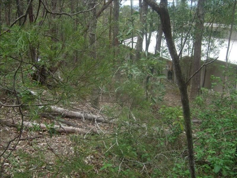 10 Boxer Avenue, Shailer Park QLD 4128