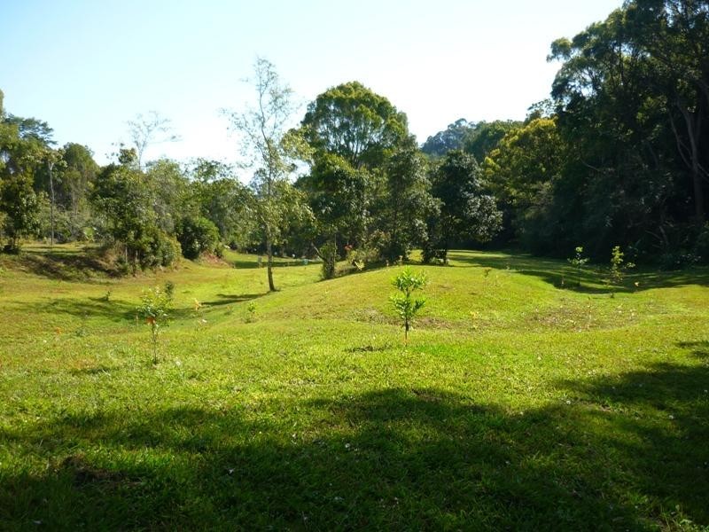 321 Burringbar Road, Burringbar NSW 2483