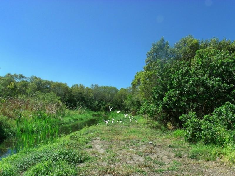42 Tranquility Drive ROTHWELL 4022, Rothwell QLD 4022