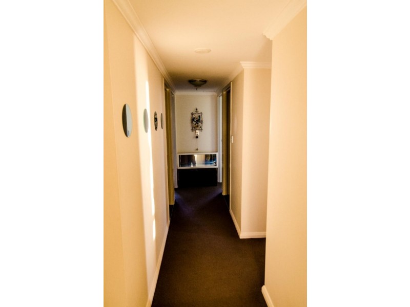 809 Pacific Highway, Chatswood NSW 2067