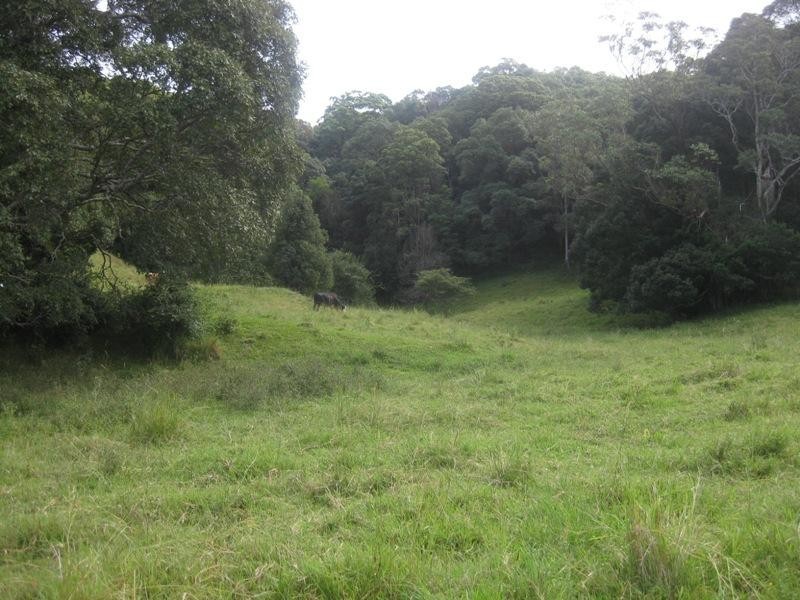 1094 Terranora Road  NORTH TUMBULGUM 2490, North Tumbulgum NSW 2490