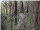1094 Terranora Road  NORTH TUMBULGUM 2490, North Tumbulgum NSW 2490