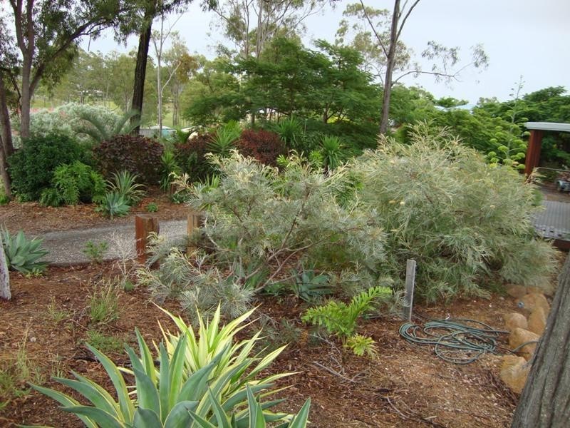 11 Ronald Crescent  BENARABY 4680, Benaraby QLD 4680