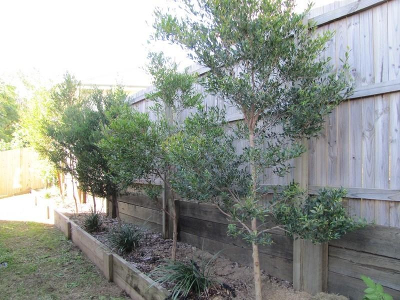 34 Hanran Street, Keperra QLD 4054