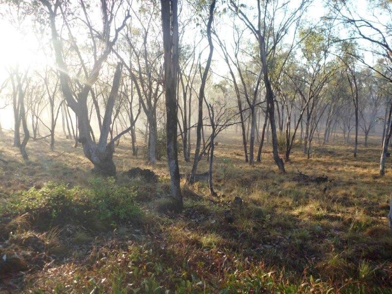 60 Clancy  Drive, Inverell NSW 2360