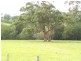 1350 Comboyne Road, Byabarra NSW 2446