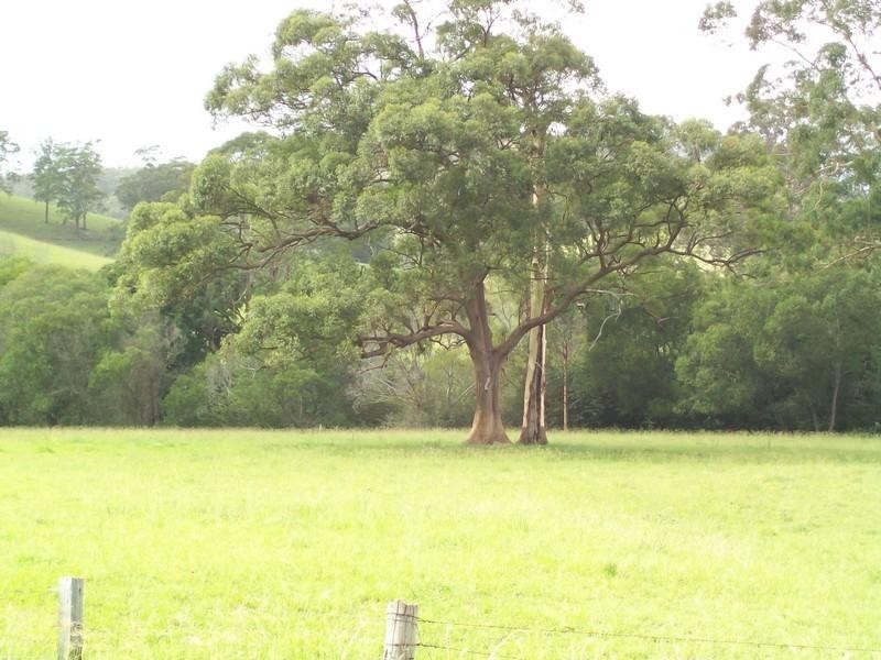 1350 Comboyne Road, Byabarra NSW 2446