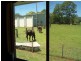 1350 Comboyne Road, Byabarra NSW 2446