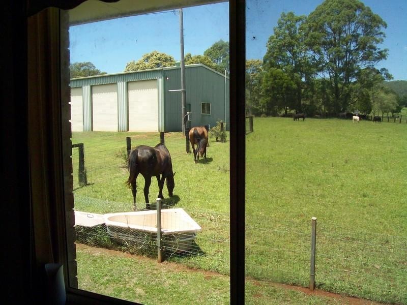 1350 Comboyne Road, Byabarra NSW 2446