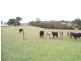 1350 Comboyne Road, Byabarra NSW 2446