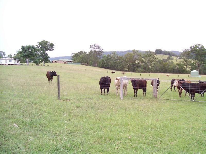 1350 Comboyne Road, Byabarra NSW 2446