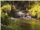 1350 Comboyne Road, Byabarra NSW 2446