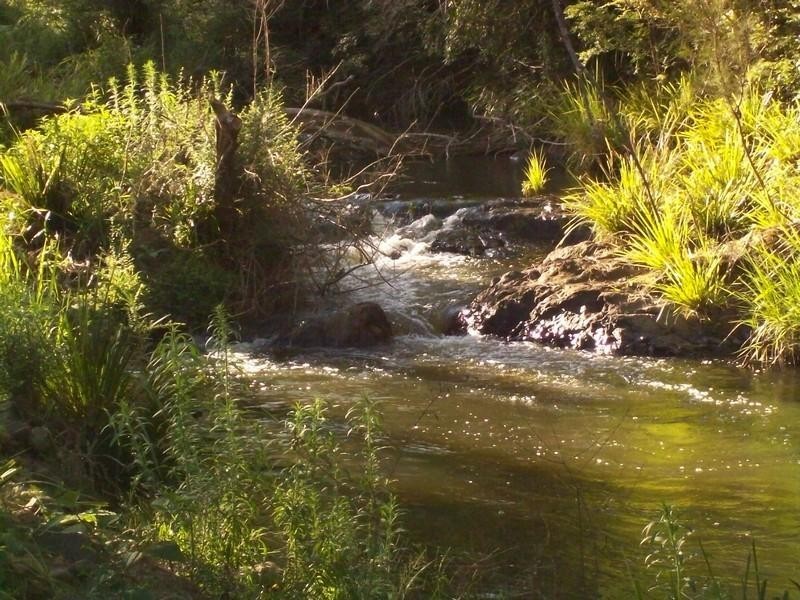 1350 Comboyne Road, Byabarra NSW 2446