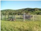 1350 Comboyne Road, Byabarra NSW 2446