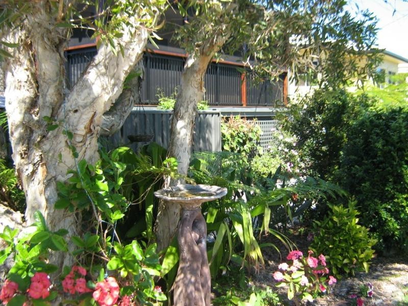 41 RIVER Street, Maclean NSW 2463