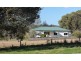 Dorrigo NSW 2453