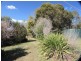 Dorrigo NSW 2453