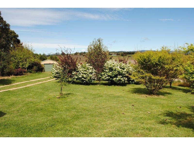 295 Tyringham Road, Dorrigo NSW 2453