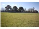 6 Gum  Drive, Dorrigo NSW 2453
