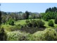 1401 Coramba Road, Megan NSW 2453