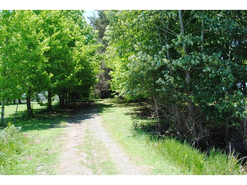 1401 Coramba Road, Megan NSW 2453