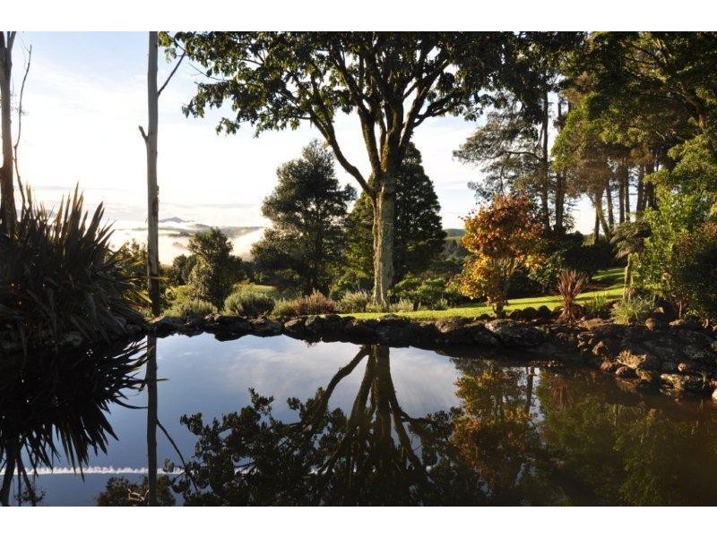 757 Whisky Creek Road, Dorrigo NSW 2453