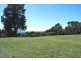 5031 Waterfall Way, Dorrigo NSW 2453