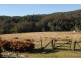 138 Schultz Road, Billys Creek NSW 2453