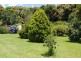 4797 Waterfall Way, Dorrigo NSW 2453