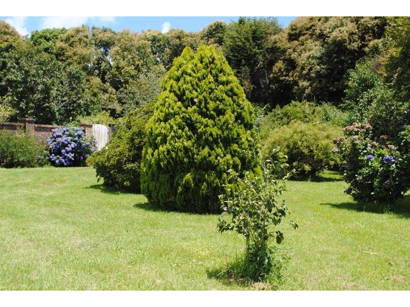 4797 Waterfall Way, Dorrigo NSW 2453