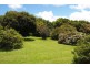 4797 Waterfall Way, Dorrigo NSW 2453