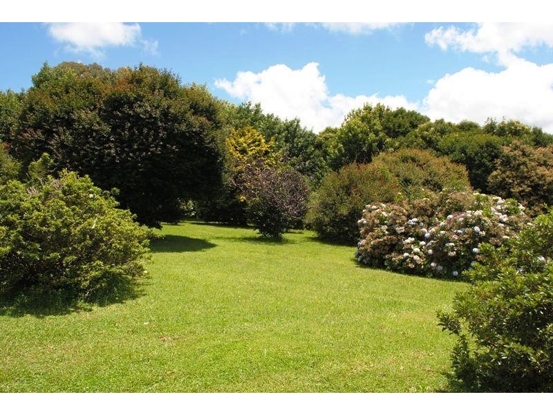 4797 Waterfall Way, Dorrigo NSW 2453