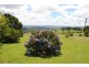 4797 Waterfall Way, Dorrigo NSW 2453