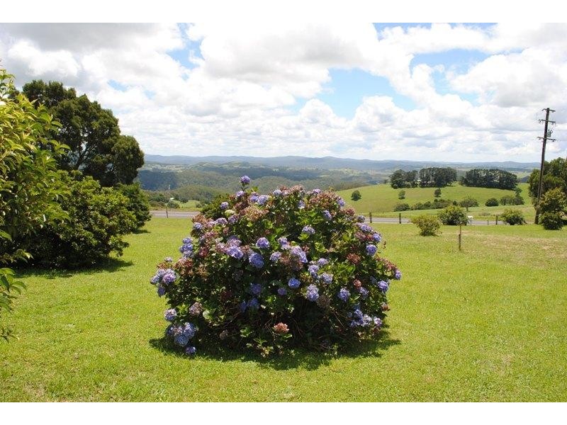 4797 Waterfall Way, Dorrigo NSW 2453