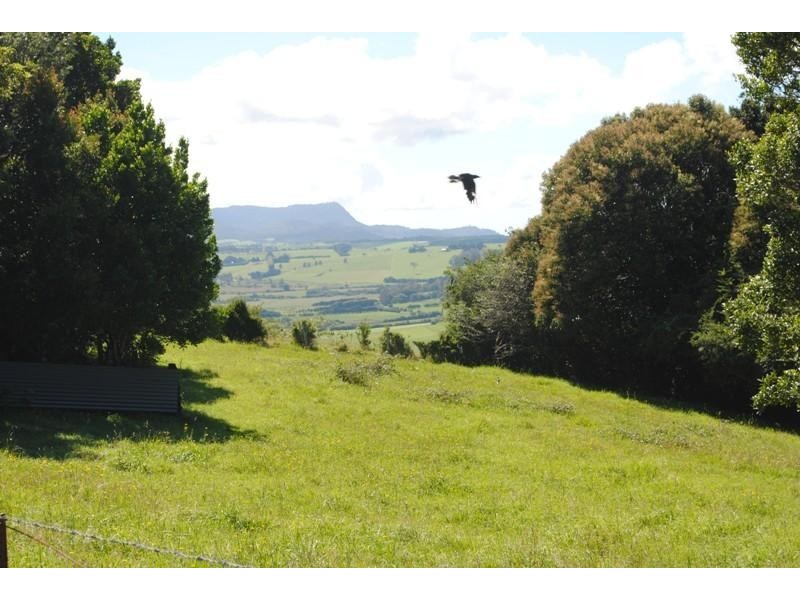 4797 Waterfall Way, Dorrigo NSW 2453