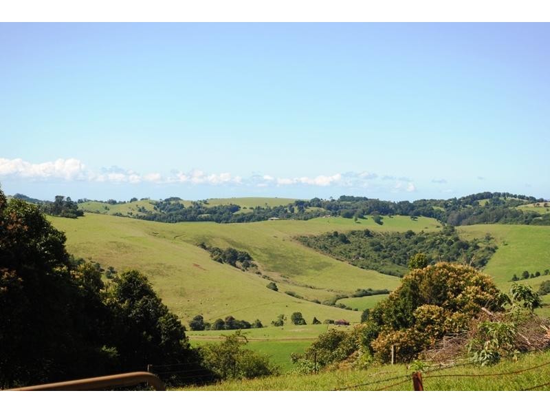 4797 Waterfall Way, Dorrigo NSW 2453