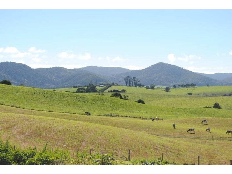 5 Cofton Close, Dorrigo NSW 2453