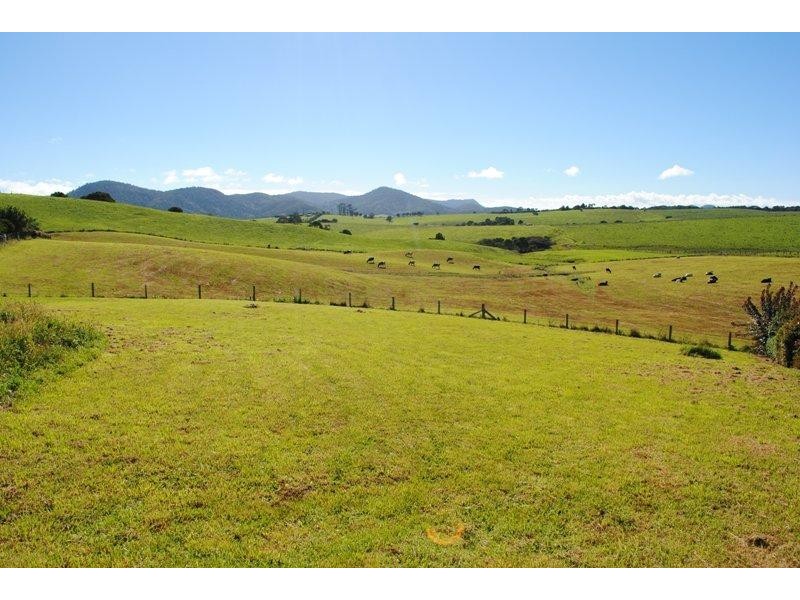 5 Cofton Close, Dorrigo NSW 2453