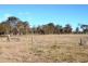 49 Pipeclay Street EBOR 2453, Ebor NSW 2453