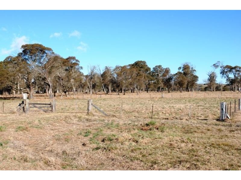 49 Pipeclay Street EBOR 2453, Ebor NSW 2453