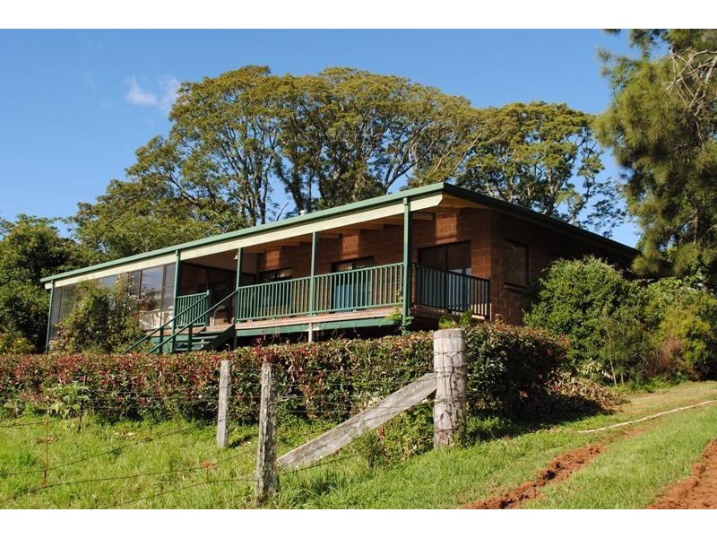 667 Old Coast Road, Dorrigo NSW 2453