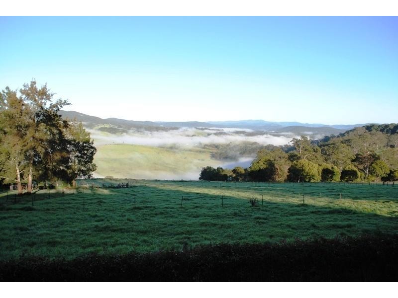 667 Old Coast Road, Dorrigo NSW 2453
