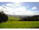 667 Old Coast Road, Dorrigo NSW 2453