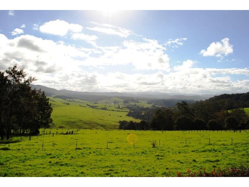 667 Old Coast Road, Dorrigo NSW 2453