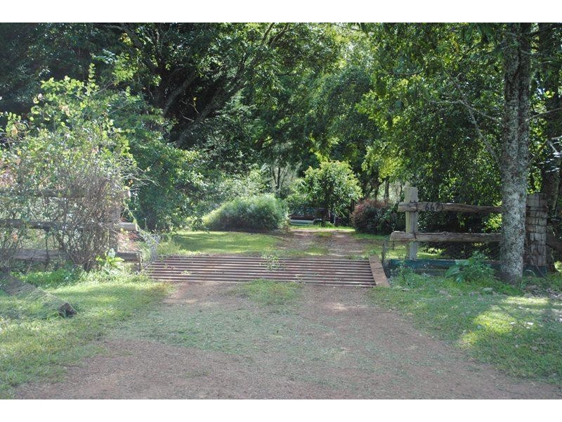 667 Old Coast Road, Dorrigo NSW 2453