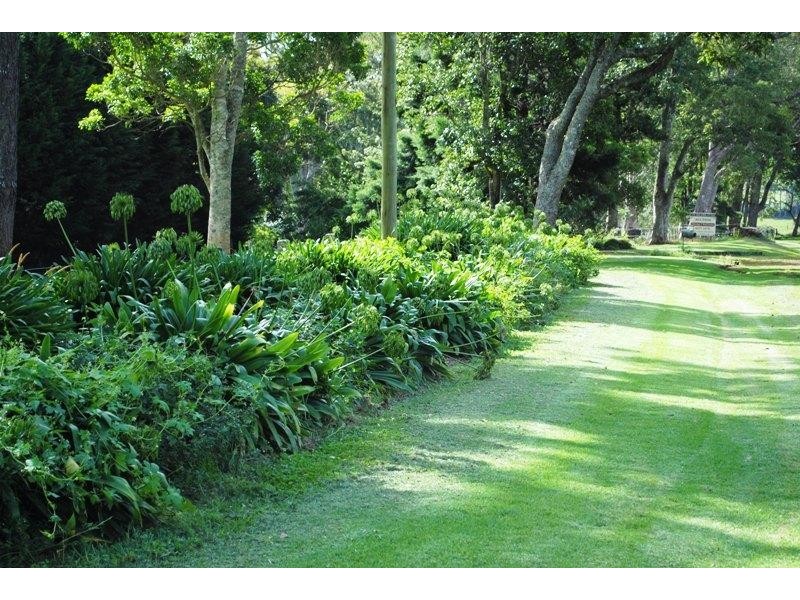 667 Old Coast Road, Dorrigo NSW 2453